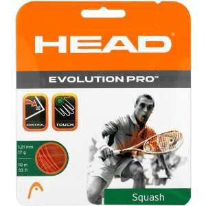  Head Evolution Pro 16 Gauge Squash String Sports 