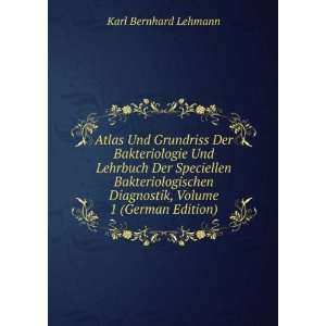   Diagnostik, Volume 1 (German Edition) Karl Bernhard Lehmann Books