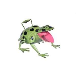  Global Amici Z5AN306R Frog Watering Can