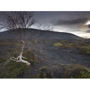  Landscape at the Foot of Hverfjall Volcano, Myvatn, Northern Iceland 