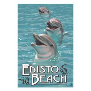 Edisto Beach, South Carolina   Dolphins Premium Poster Print, 18x24