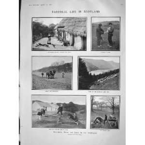    1907 PASTORAL LIFE SCOTLAND LOCH VOEL ESPERANTISTS