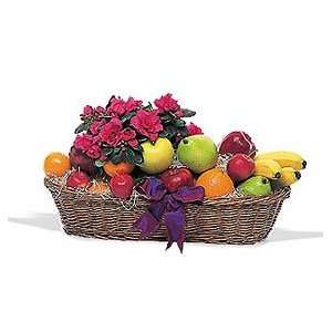 Fruit and Plant Basket Grocery & Gourmet Food