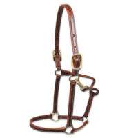 WALSH Double Stitched Leather Halter   CHESTNUT   All Sizes  
