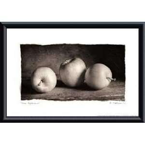   Apples   Artist Amy Melious  Poster Size 15 X 10