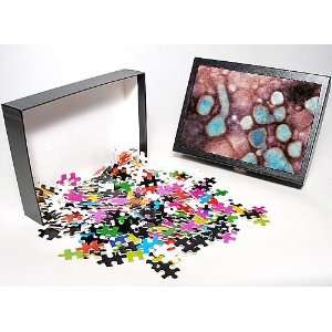   virus particles, TEM from Science Photo Library Toys & Games