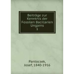   der Fossilen Bacillarien Ungarns. 1 Josef, 1840 1916 Pantocsek Books