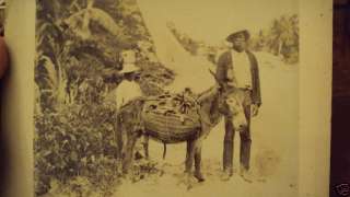 1890 Haiti Caribbean Albumin Cabinet Photo  