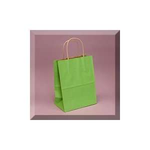     16 X 6 X 12 Apple Shadow Stripe Handle Bag