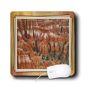  Susan Brown Designs Nature Themes   Bryce Canyon   Mouse 