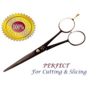 Ninja Master Pride Japanese Hairdressing scissor perfect for cutting 