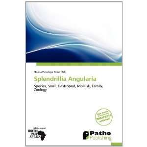  Splendrillia Angularia (9786138581635) Noelia Penelope Greer Books