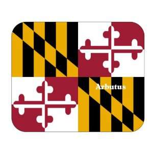  US State Flag   Arbutus, Maryland (MD) Mouse Pad 