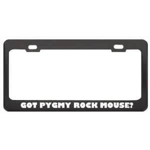 Got Pygmy Rock Mouse? Animals Pets Black Metal License Plate Frame 