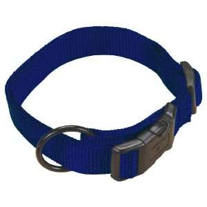  Hamilton 5/8 Adjustable Dog Collar, adjusts from 12 18 