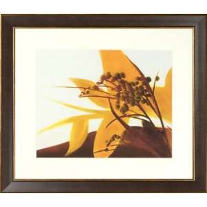  Bambi WDS#191 Floral Giclee Print by PTM Images