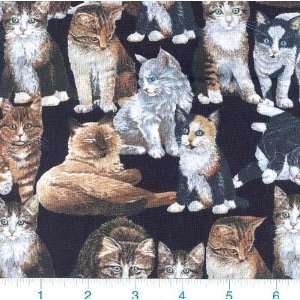  45 Wide Kitty City Cats Allover Black Fabric By The Yard 