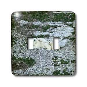   . High Arctic. Canada.   Light Switch Covers   double toggle switch