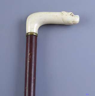 INTERESTING CARVED BONE DOGS HEAD CANE HANDLE  