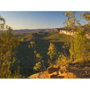  Carnarvon Gorge, Carnarvon National Park, Queensland, Australia 
