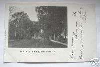 Unadilla NY Main Street  A.E. Pixley 1905 PC Nice  