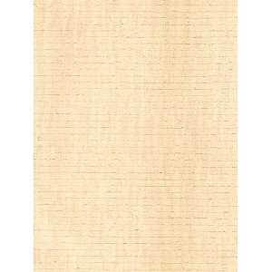   Washington Wallcovering Premium textures PRt21896