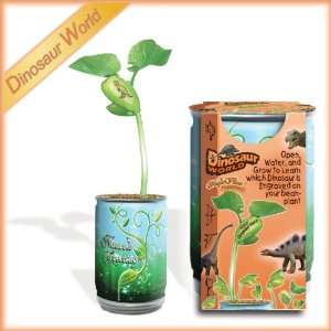   growto See Which Dinosaur Is Features on Your Plant Toys & Games