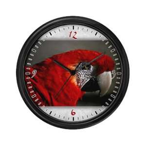  Wall Clock Scarlet Macaw   Bird 