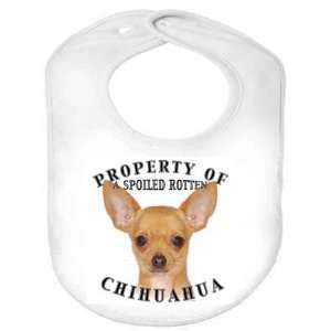  Chihuahua Property Organic Cotton Infant Baby Bib