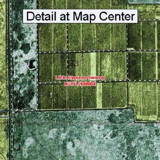  USGS Topographic Quadrangle Map   Little Cypress Swamp 