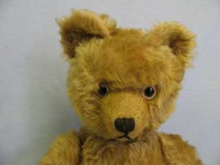   Antique German 1930s SCHUCO Mohair YES NO TEDDY BEAR working MUSIC BOX
