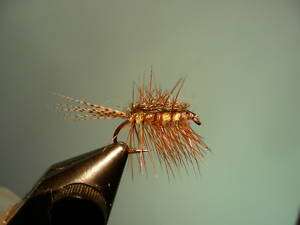CRACKLEBACK Theflytiers Guide Fly Trout Dry deadly  