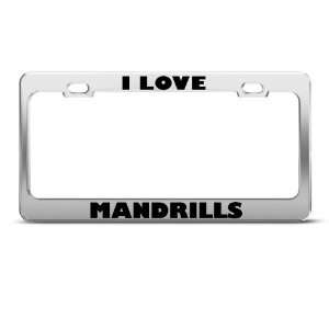 Love Mandrills Mandrill Animal license plate frame Stainless Metal 