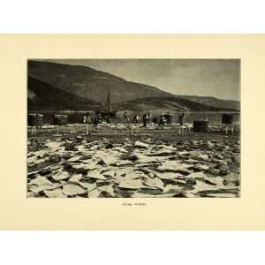  1900 Print Norway Men Drying Klipfisk Clipfish Fishing 