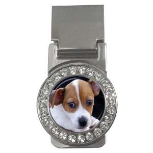  Jack Russell Puppy Dog 3 Money Clip CZ W0703 Everything 