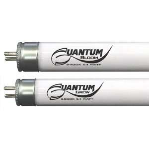  Quantum 4 T5 HO 6500K Bulbs   Case of 8