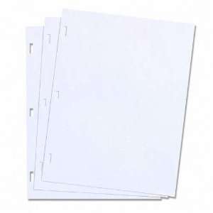  Ledger Sheets for Corporation and Minute Book White 11 x 8 