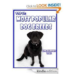 Top 10 Most Popular Dog Breeds (and their puppies) (The eZoo for 
