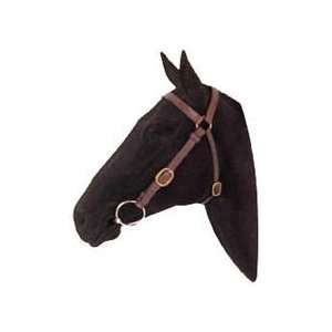  Toowoomba 3/4 Barcoo Bridle