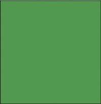   10 X 20 Solid Green Muslin Photo Video Backdrop / Background (V003