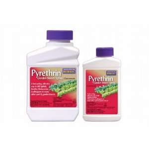  Pyrethrin Garden Insect Spray, Concentrate Pint Patio 