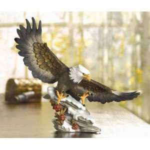  Eagle On Rock Base Prepares To Attack Prey Kitchen 