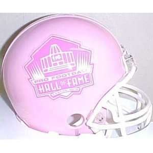 NFL Hall of Fame Riddell Replica Mini Helmet Sports 
