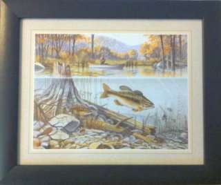 Framed Fly Fishing Large Mouth Bass Trout Posters  