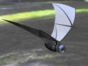 Bat Inspired Solar Powered Spy Plane Wood Model Small  