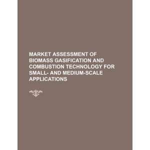  Market assessment of biomass gasification and combustion technology 