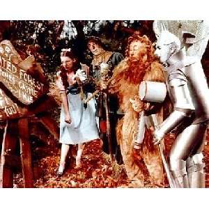  The Wizard of Oz Movie Still