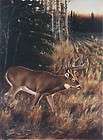 THANKYOU GOD Desmond McCaffrey Deer Hunting Print  