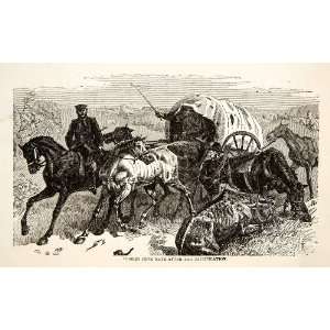  1871 Wood Engraving Franco Prussian War Horses Battle Metz 