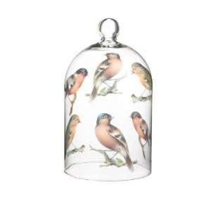  Bird Cloche Glass